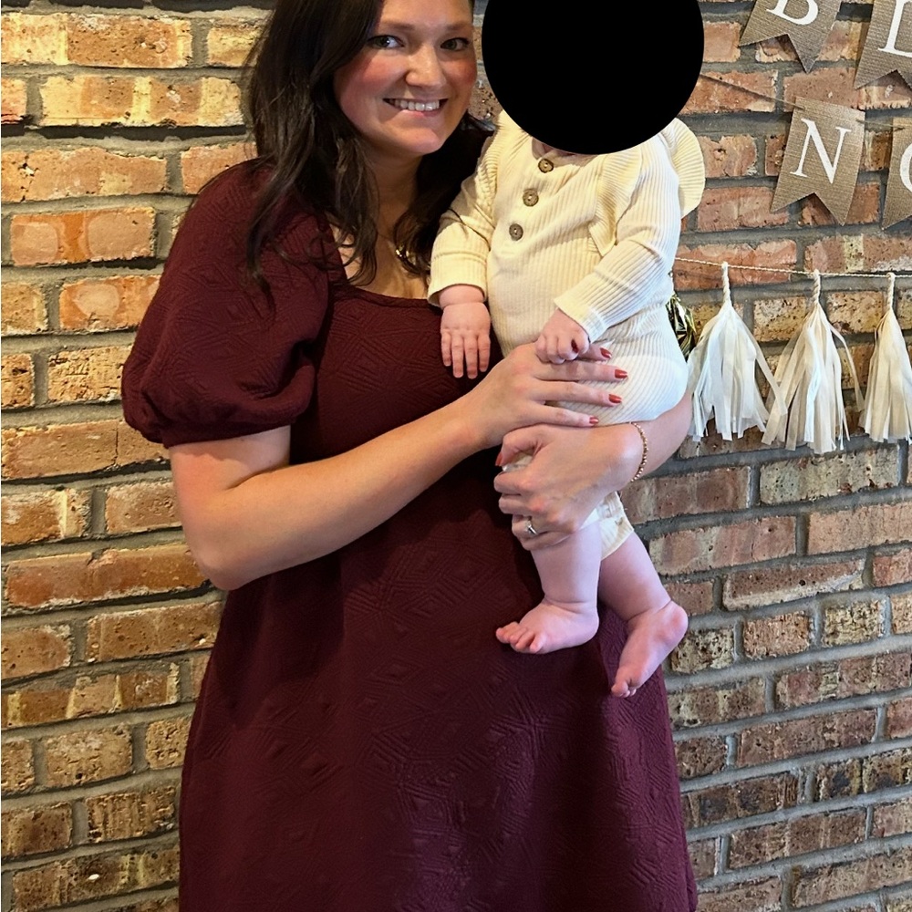 Burgundy Puff Sleeve A Line Dress
